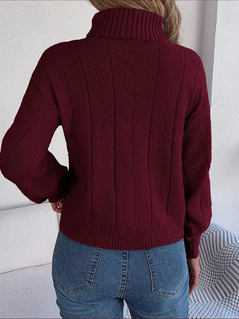 Pull En Tricot Torsadé À Col Roulé Uni